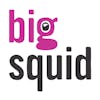 Big Squid is hiring remote and work from home jobs on We Work Remotely.