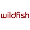 Wildfish is hiring remote and work from home jobs on We Work Remotely.