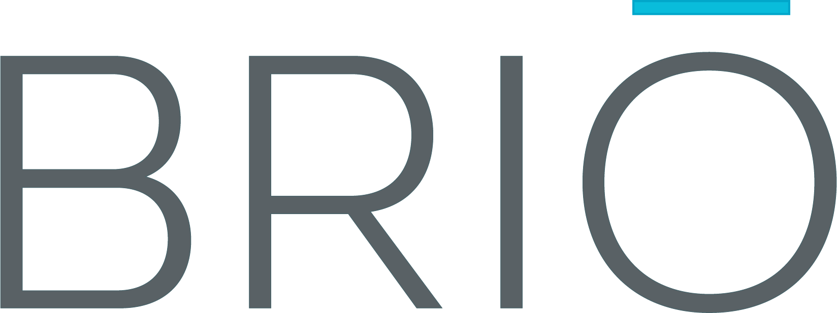Brio Systems is hiring remote and work from home jobs on We Work Remotely.