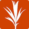 Development Seed Company Logo