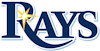 Tampa Bay Rays Company Logo