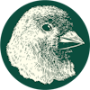 logo.gif