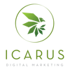 Icarus Digital Marketing is hiring remote and work from home jobs on We Work Remotely.