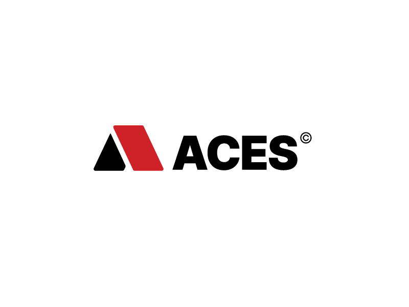Ace Ventures is hiring remote and work from home jobs on We Work Remotely.